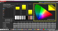 CalMAN ColorChecker calibré (espace colorimétrique cible P3)