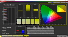 Saturation du CalMAN Colorchecker