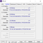 ThinkPad A285 - CPU-Z.