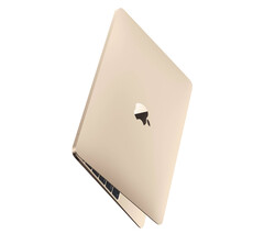 Aucun élément concret ne permet d&#039;affirmer qu&#039;un nouveau MacBook de 12 pouces est en cours de développement. (Source de l&#039;image : Apple)