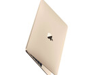 Aucun élément concret ne permet d'affirmer qu'un nouveau MacBook de 12 pouces est en cours de développement. (Source de l'image : Apple)