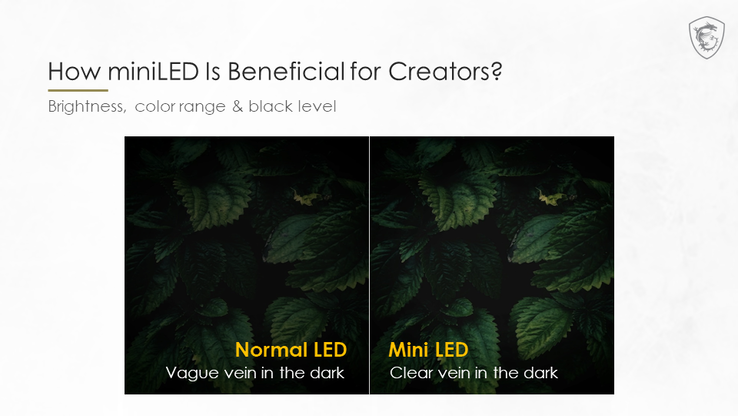 Le local dimming mini-LED aide à bien reproduire les nervures dans les zones sombres. (Source : MSI)