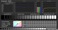 CalMAN : Niveaux de gris (calibrés)