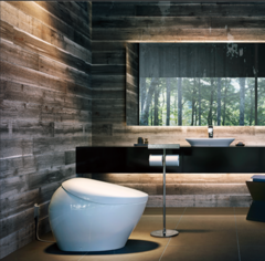 Un fabricant japonais de toilettes pourrait tirer un grand profit de l'essor actuel de l'IA