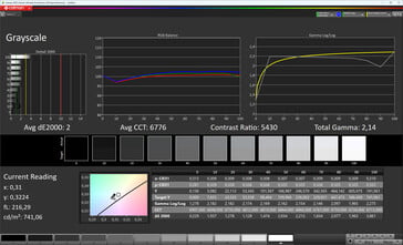 Niveaux de gris (profil : vivid, espace couleur cible : DCI-P3)