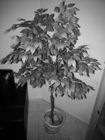 Caméra de vision nocturne