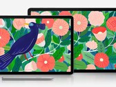 Le Galaxy Tab S7 sera disponible en deux tailles. (Source de l'image : @evleaks)