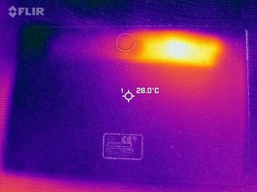 Carte thermique du dos
