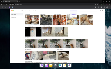 Options de recherche alimentées par l'IA