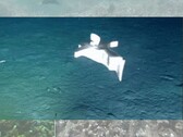 Une image du robot au fond de l'océan (Source de l'image : l'équipe de recherche ; édité)