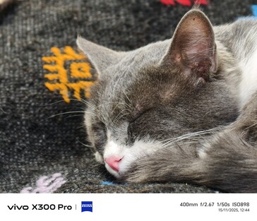 Vivo X300 Pro 400 mm avec télé-convertisseur.