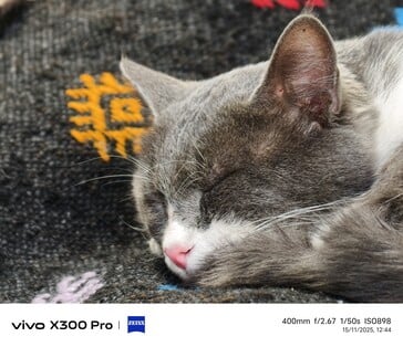 Vivo X300 Pro 400 mm avec télé-convertisseur.