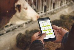 Les capteurs IoT, développés par smaXtec surveillent le bien-être interne des animaux de ferme. (Image : smaXtec)