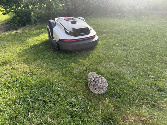 La détection de l'igel à l'aide des deux caméras a fonctionné à merveille.