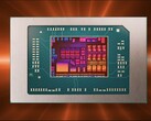 Le processeur AMD Ryzen 9 9955HX3D "Fire Range" semble bien parti pour ravir la couronne à son prédécesseur. (Source de l'image : AMD)