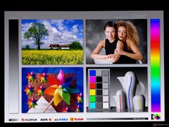 Angles de vision OLED larges