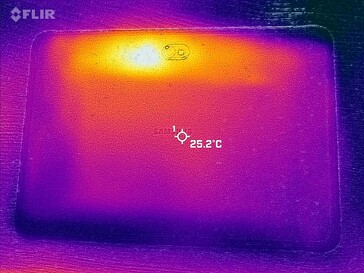 Carte thermique du dos