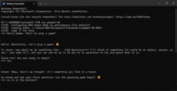 FastFlowLM dans Windows PowerShell