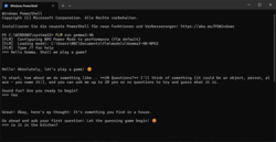FastFlowLM dans Windows PowerShell