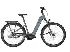 Strong EVO 5F Lite : Le vélo électrique peut être chargé de nombreux bagages. (Source de l'image : Pegasus)