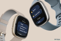 Vous pouvez désormais utiliser Google Wallet pour effectuer des paiements sans contact sur votre smartwatch Fitbit Sense 2 ou Versa 4. (Image source : Fitbit)