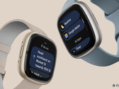 Vous pouvez désormais utiliser Google Wallet pour effectuer des paiements sans contact sur votre smartwatch Fitbit Sense 2 ou Versa 4. (Image source : Fitbit)