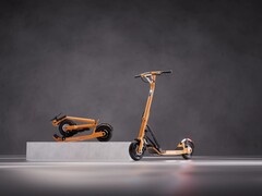 Le scooter électrique Lavoie série 1 a été présenté au début de l'année. (Source de l'image : Lavoie)