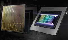 Nvidia et AMD ont tous deux des GPU de nouvelle génération en préparation pour fin 2022/début 2023. (Image source : Nvidia/AMD - édité)