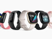 La dernière série de mises à jour de Fitbit cible les problèmes de sécurité de plusieurs de ses wearables. (Image source : Fitbit)