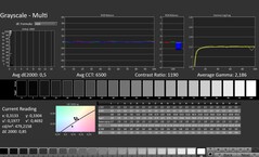 CalMAN : Niveaux de gris (calibrés)