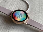 La série Fossil Gen 6 a été lancée il y a près de deux ans (source : NotebookCheck)