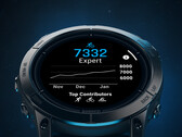 La version bêta 14.24 est disponible en téléchargement OTA. (Source de l'image : Garmin)