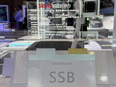 La batterie à semi-conducteurs Sunwoda. (Source de l'image : CNEVPost)