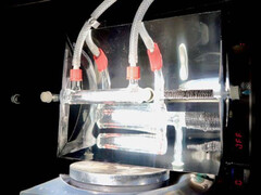 Simple mais efficace : Il suffit de la lumière du soleil et de CO₂. (Source de l'image : Université de Cambridge/Sayan Kar)