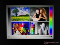 Alienware m15 - Larges angles de vision de l'écran IPS. Légers changements du ColorChecker avec des angles très élevés.