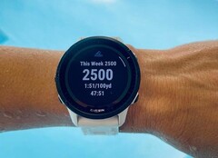 Garmin continue de mettre à jour la Forerunner 955 même après l'avoir remplacée par la Forerunner 965. (Source de l'image : Garmin)