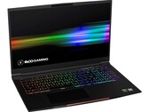 Test du Walmart EVOO Gaming 17 (i9-9750H, RTX 2060, FHD) : portable chinois avec étiquette Walmart