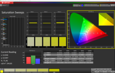 Saturation de CalMAN