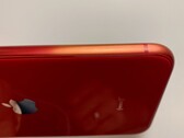 L'iPhone SE 2 (PRODUCT) ROUGE délavé appartenant à la femme de Ben Geskin. (Image : @BenGeskin)