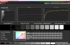Niveaux de gris CalMAN (Profil : sRGB)
