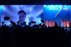 Les ventes de Tesla s'effondrent dans toute l'Europe : Les activités politiques d'Elon Musk semblent nuire à l'entreprise