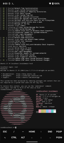 Ubuntu 21.10 fonctionnant sur le Pixel 6 avec Android 13 DP1. (Source de l'image : @kdrag0n sur Twitter)