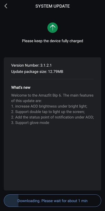 Les notes de mise à jour de la version 3.1.2.1 du logiciel de la smartwatch Amazfit Bip 6. (Source de l'image : u/Grand_Permission3151 via Reddit)