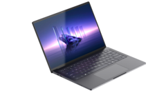 Le Pro Max 14 Premium. (Source de l'image : Dell)