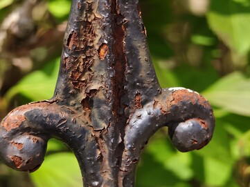 Photos macro