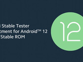Xiaomi a ouvert le test de Android 12 à trois autres smartphones phares. (Image source : Xiaomi)