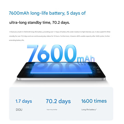 Détails de la batterie