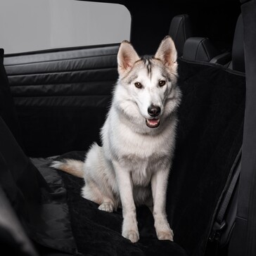 Housse pour animaux de compagnie Cybertruck