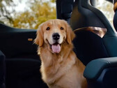 Zeekr X est équipé de sièges électriques rabattables pour accueillir votre animal de compagnie (image : Geely)
