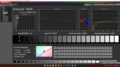 CalMAN : échelle de gris (calibrée)